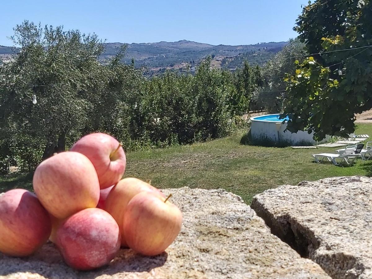 Villa Casa Do Feitor - Douro - Quinta Da Cabrida Sendim  Esterno foto