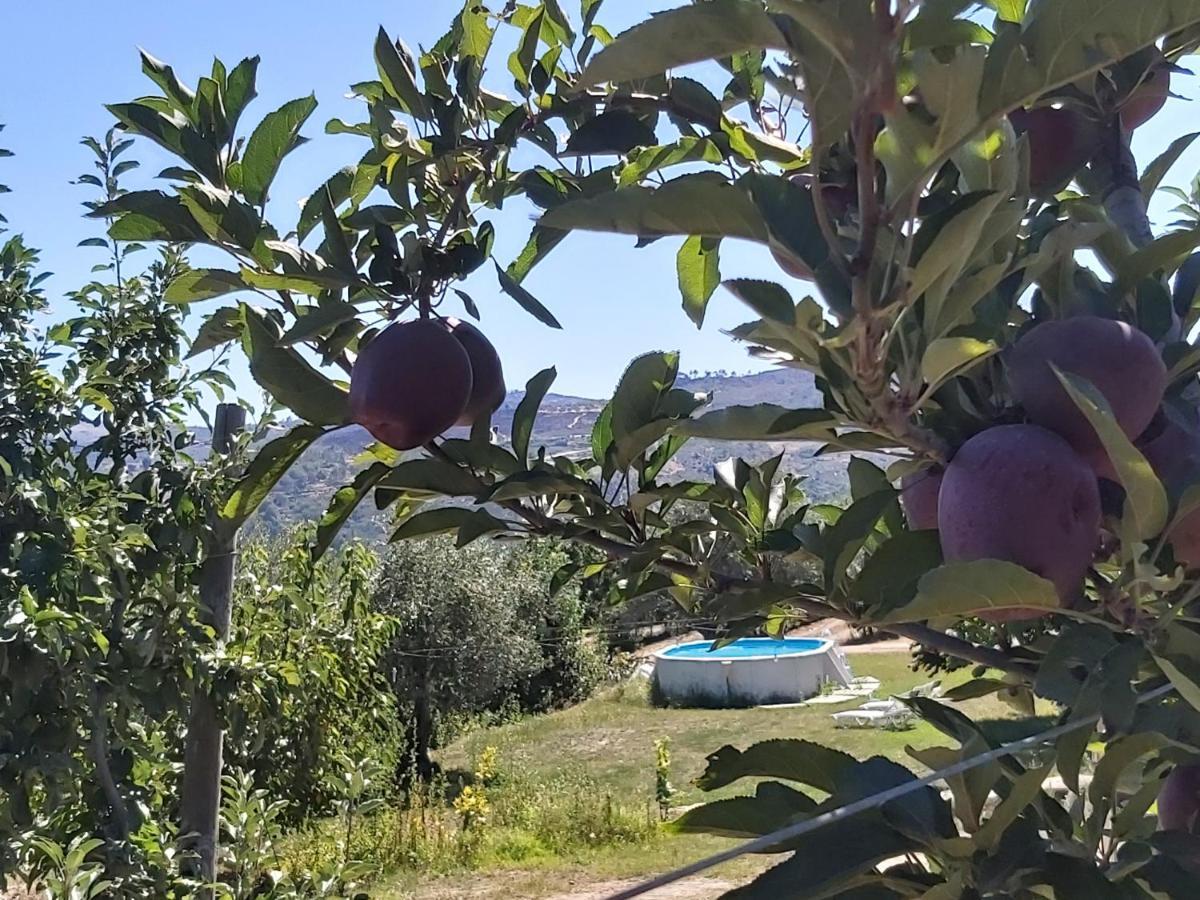 Villa Casa Do Feitor - Douro - Quinta Da Cabrida Sendim  Esterno foto