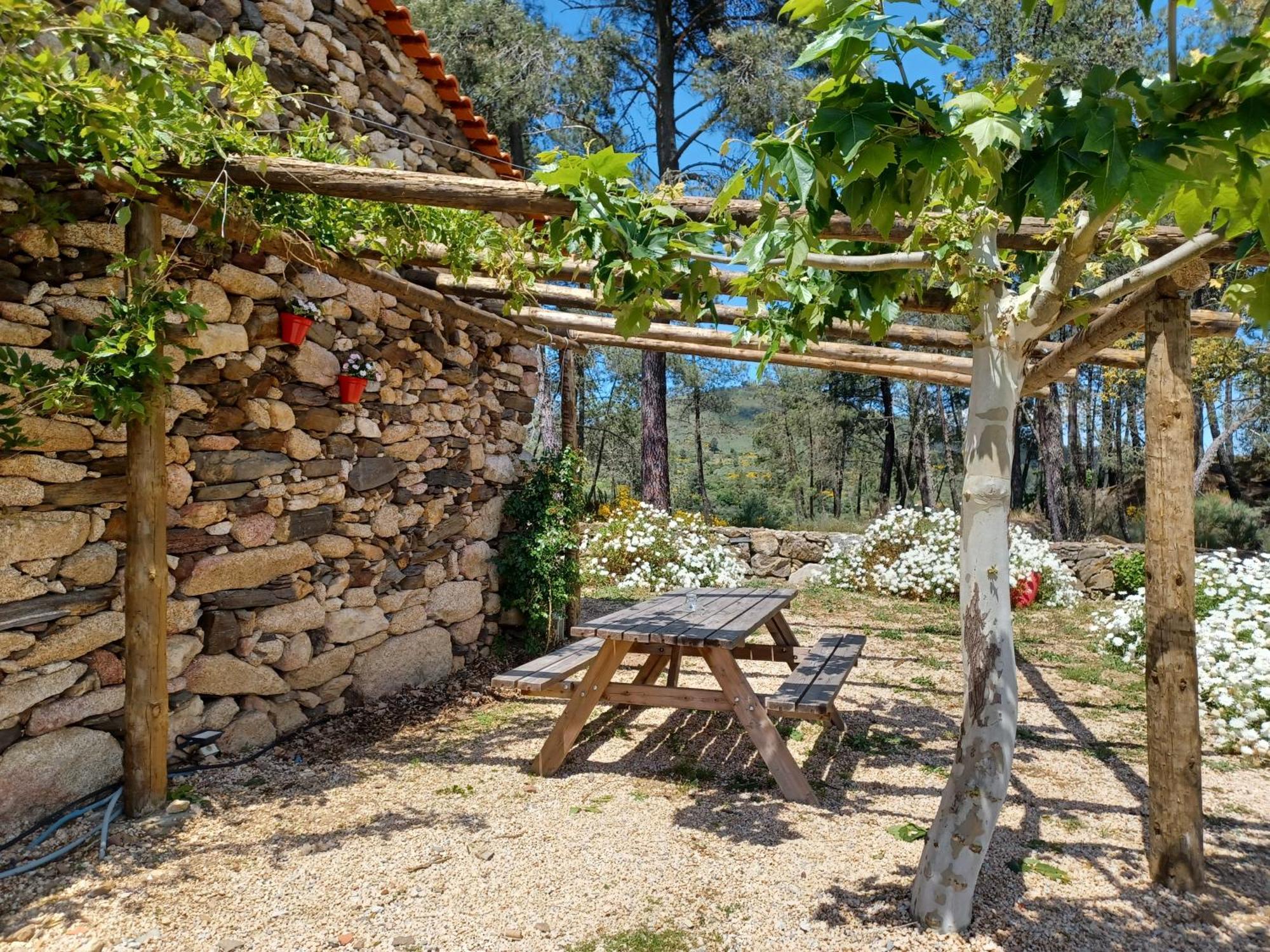 Villa Casa Do Feitor - Douro - Quinta Da Cabrida Sendim  Esterno foto