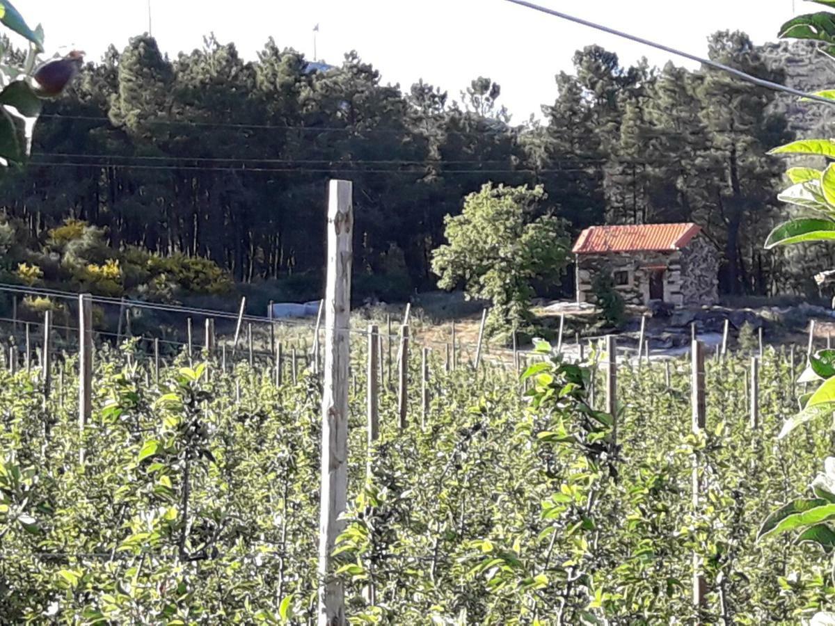Villa Casa Do Feitor - Douro - Quinta Da Cabrida Sendim  Esterno foto