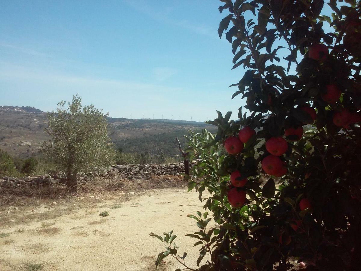 Villa Casa Do Feitor - Douro - Quinta Da Cabrida Sendim  Esterno foto