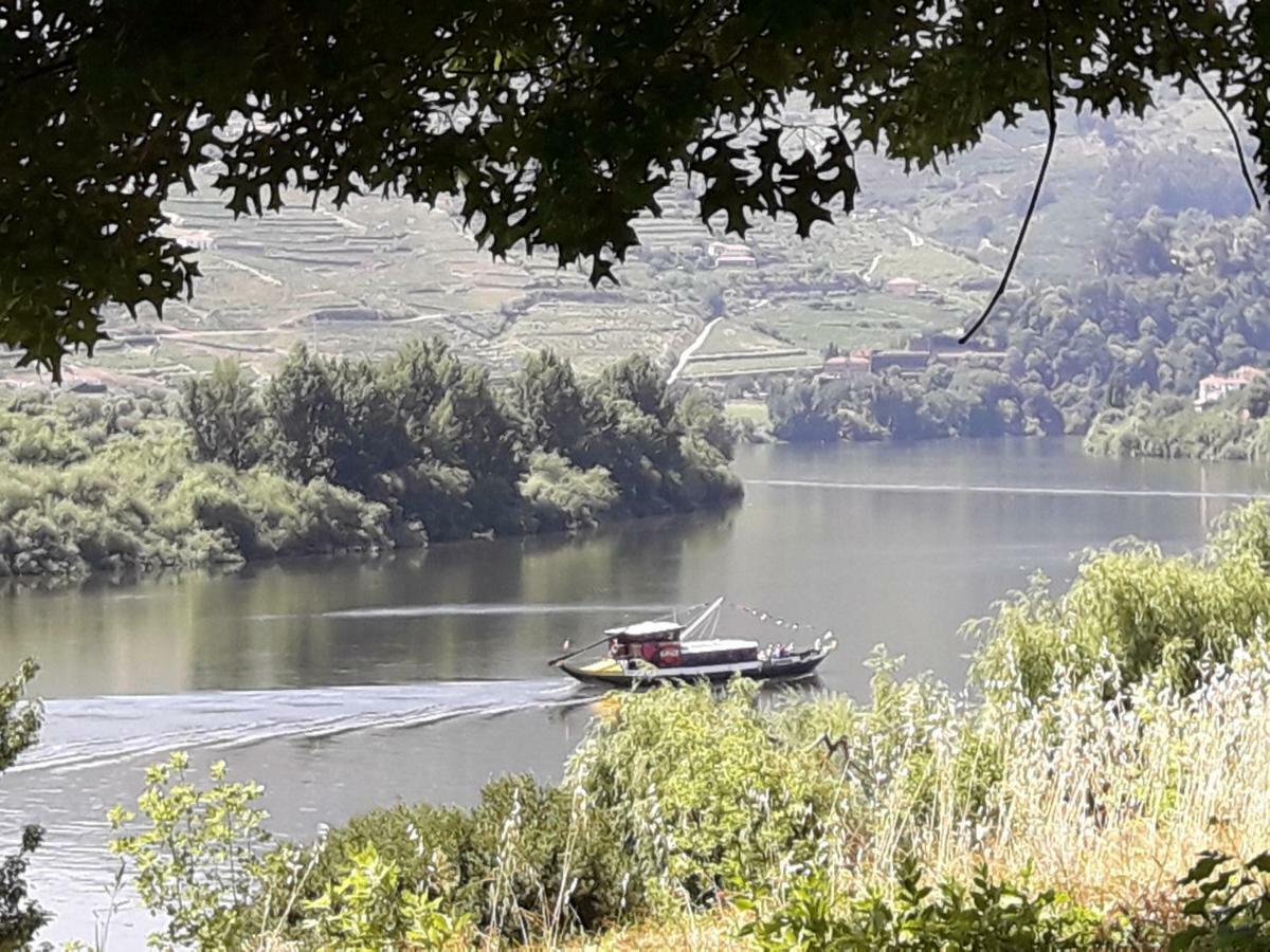 Villa Casa Do Feitor - Douro - Quinta Da Cabrida Sendim  Esterno foto