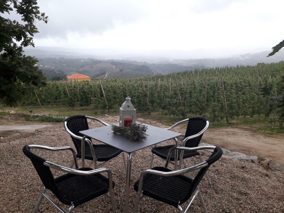 Villa Casa Do Feitor - Douro - Quinta Da Cabrida Sendim  Esterno foto
