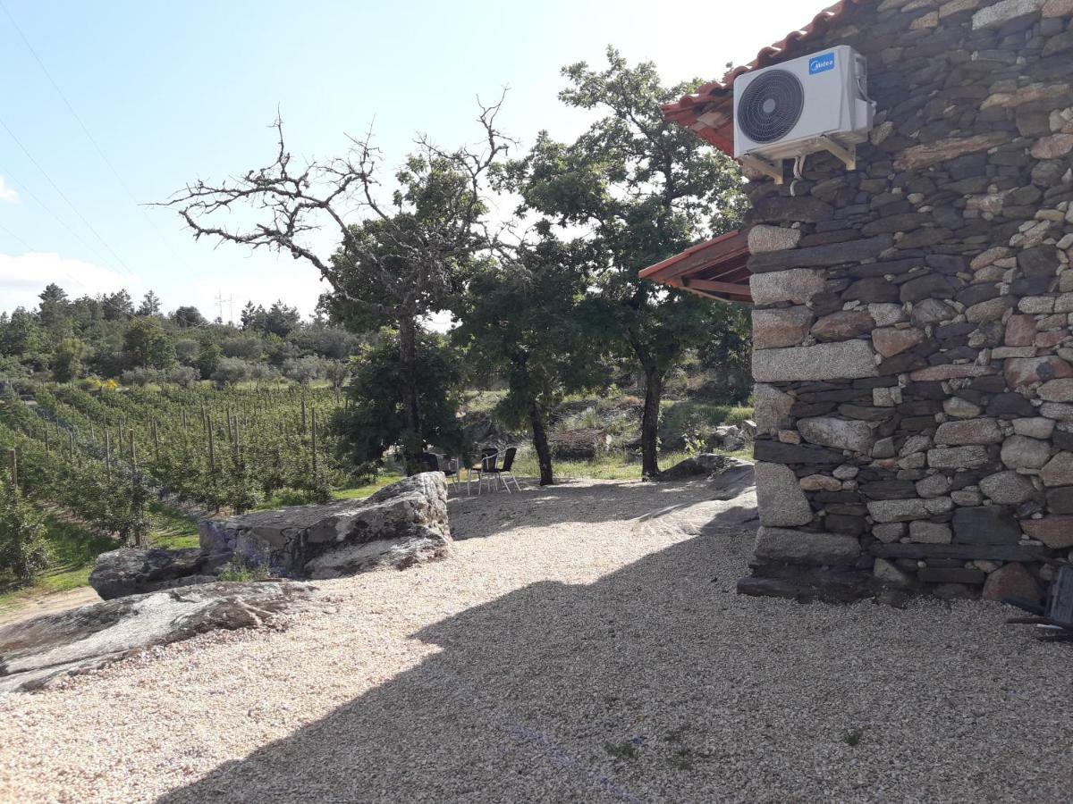 Villa Casa Do Feitor - Douro - Quinta Da Cabrida Sendim  Esterno foto
