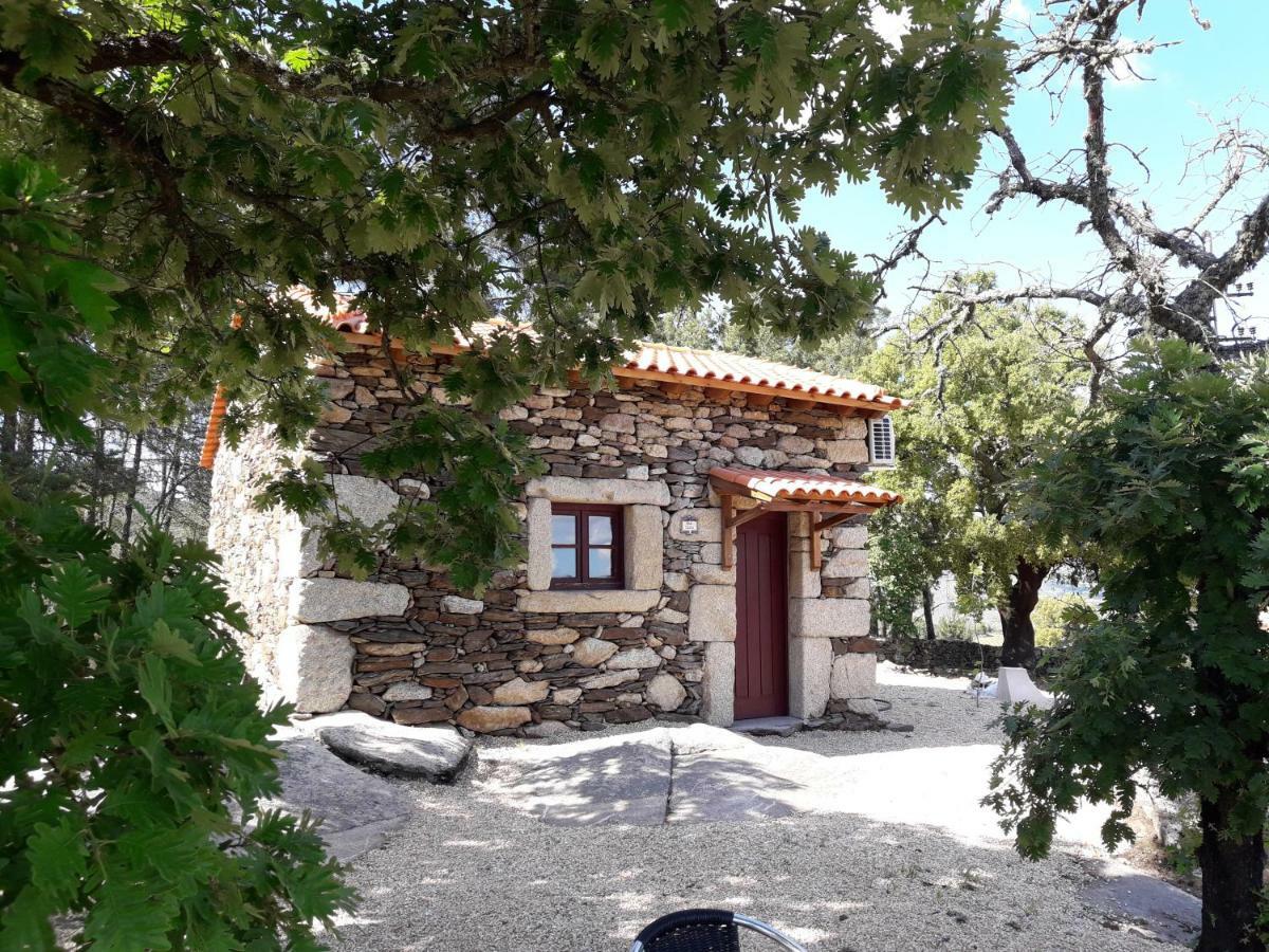 Villa Casa Do Feitor - Douro - Quinta Da Cabrida Sendim  Esterno foto