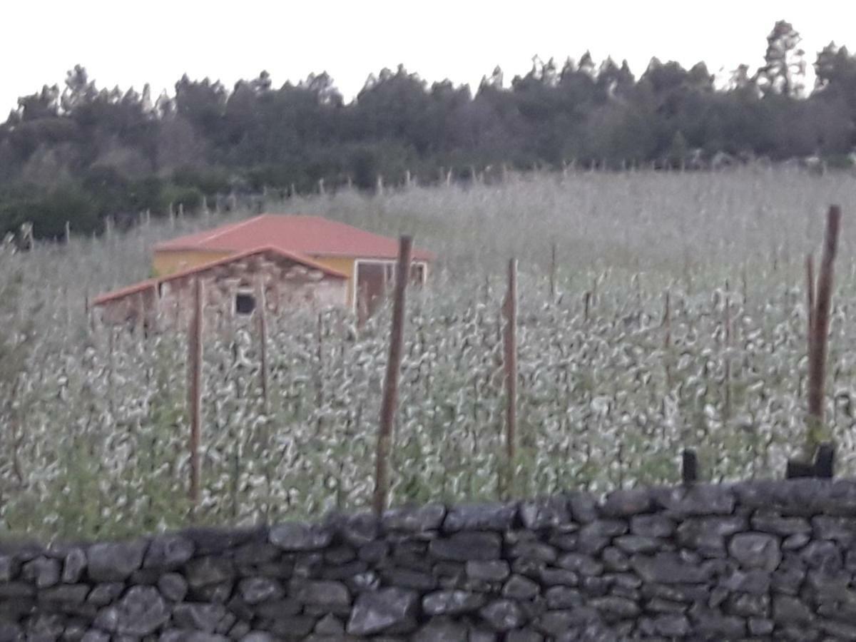 Villa Casa Do Feitor - Douro - Quinta Da Cabrida Sendim  Esterno foto