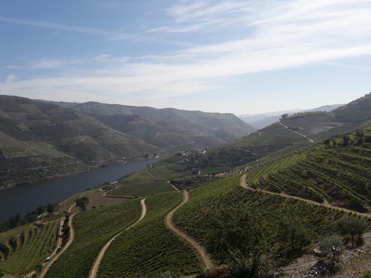 Villa Casa Do Feitor - Douro - Quinta Da Cabrida Sendim  Esterno foto