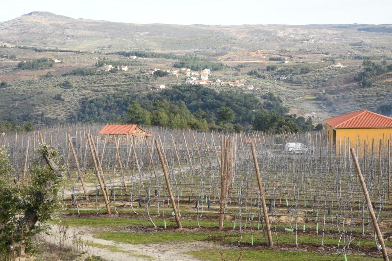 Villa Casa Do Feitor - Douro - Quinta Da Cabrida Sendim  Esterno foto